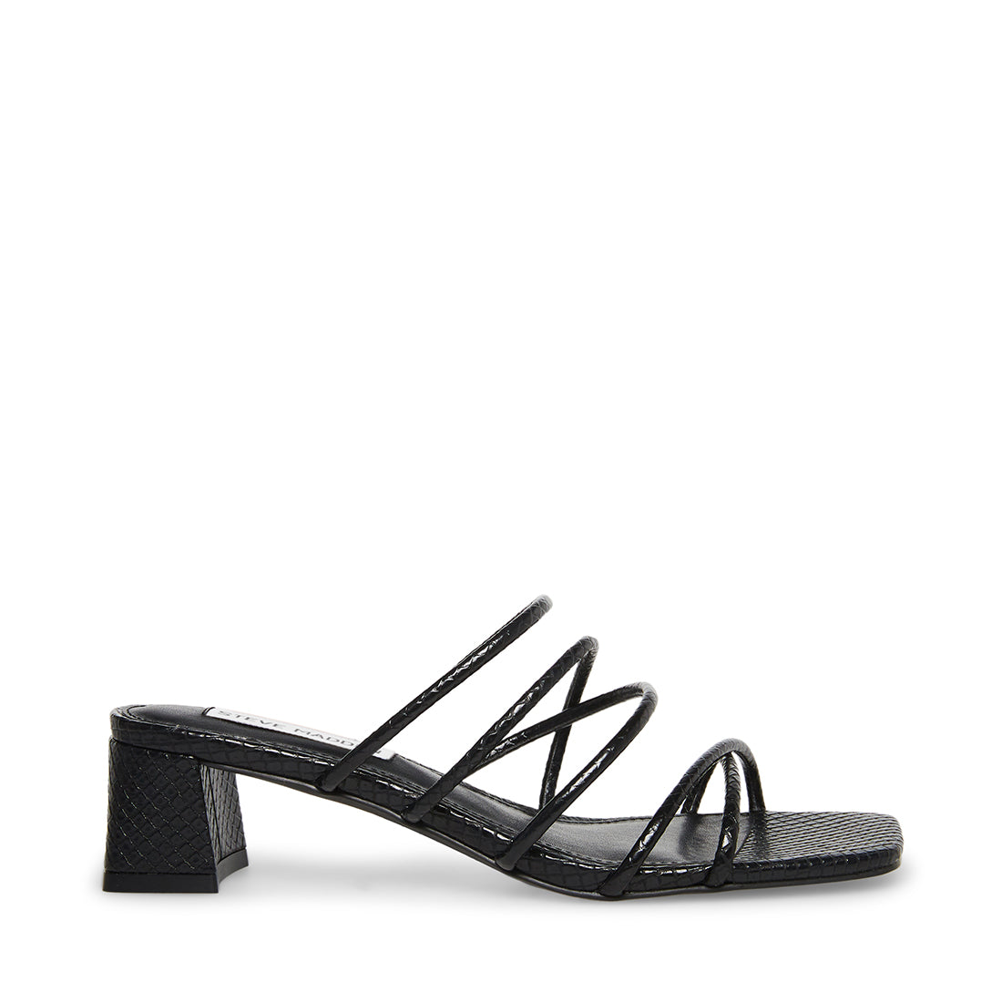 PAIGE BLACK SNAKE - SM REBOOTED