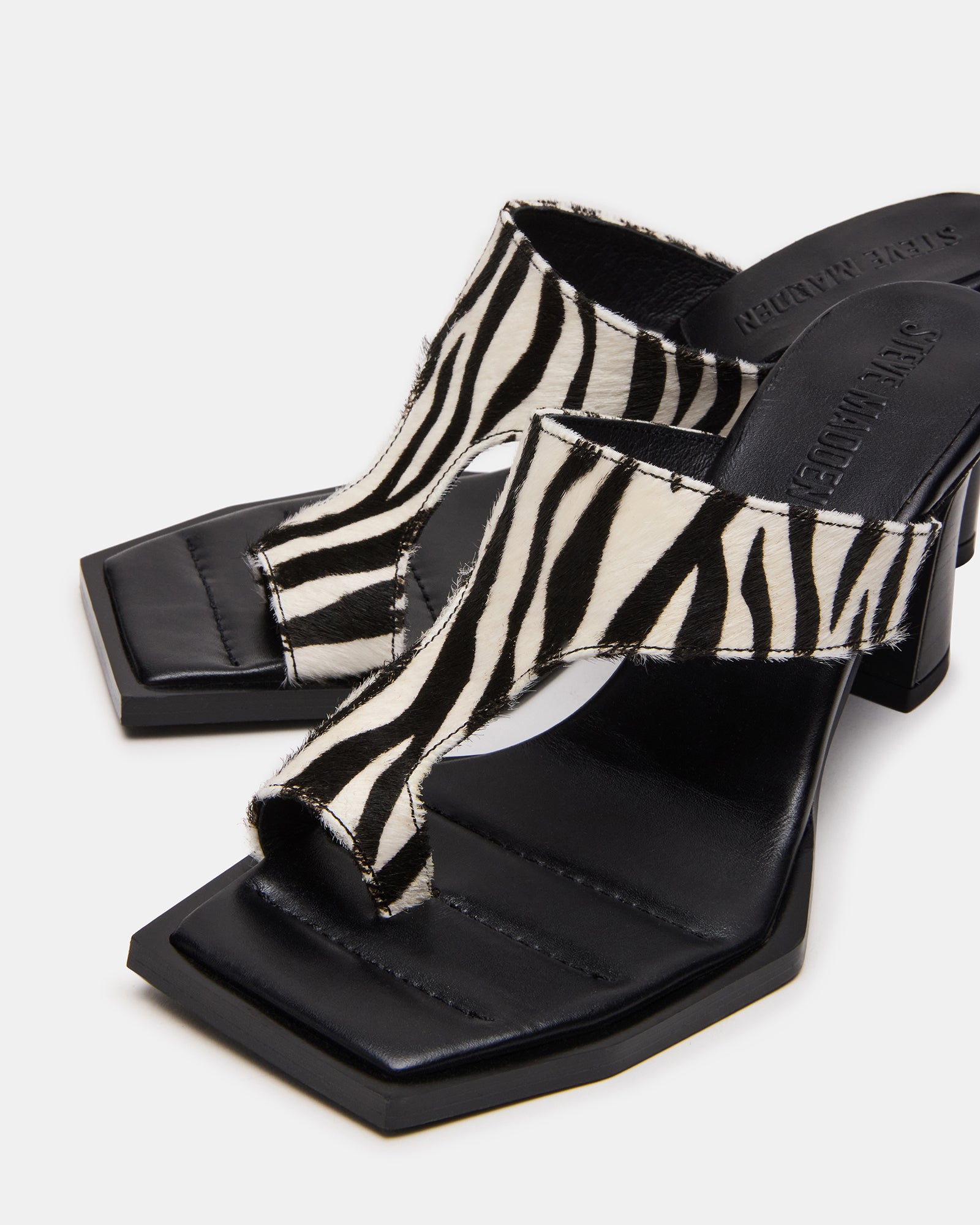 ALAMEDA ZEBRA