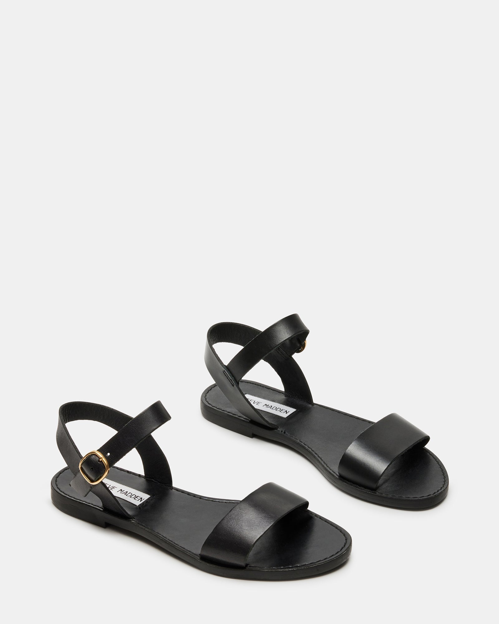 DONDDI BLACK LEATHER - SM REBOOTED