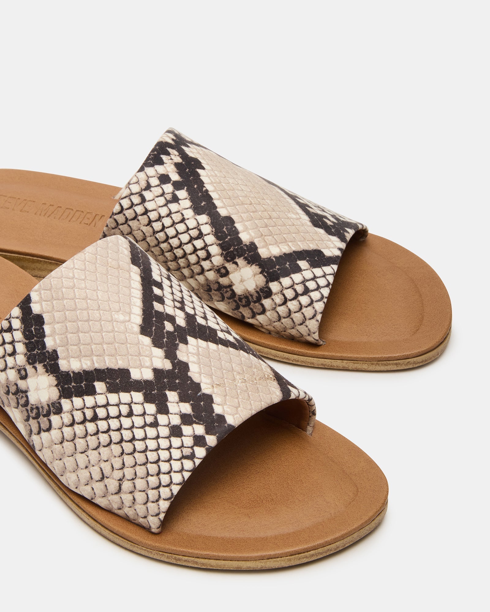 KIPP NATURAL SNAKE