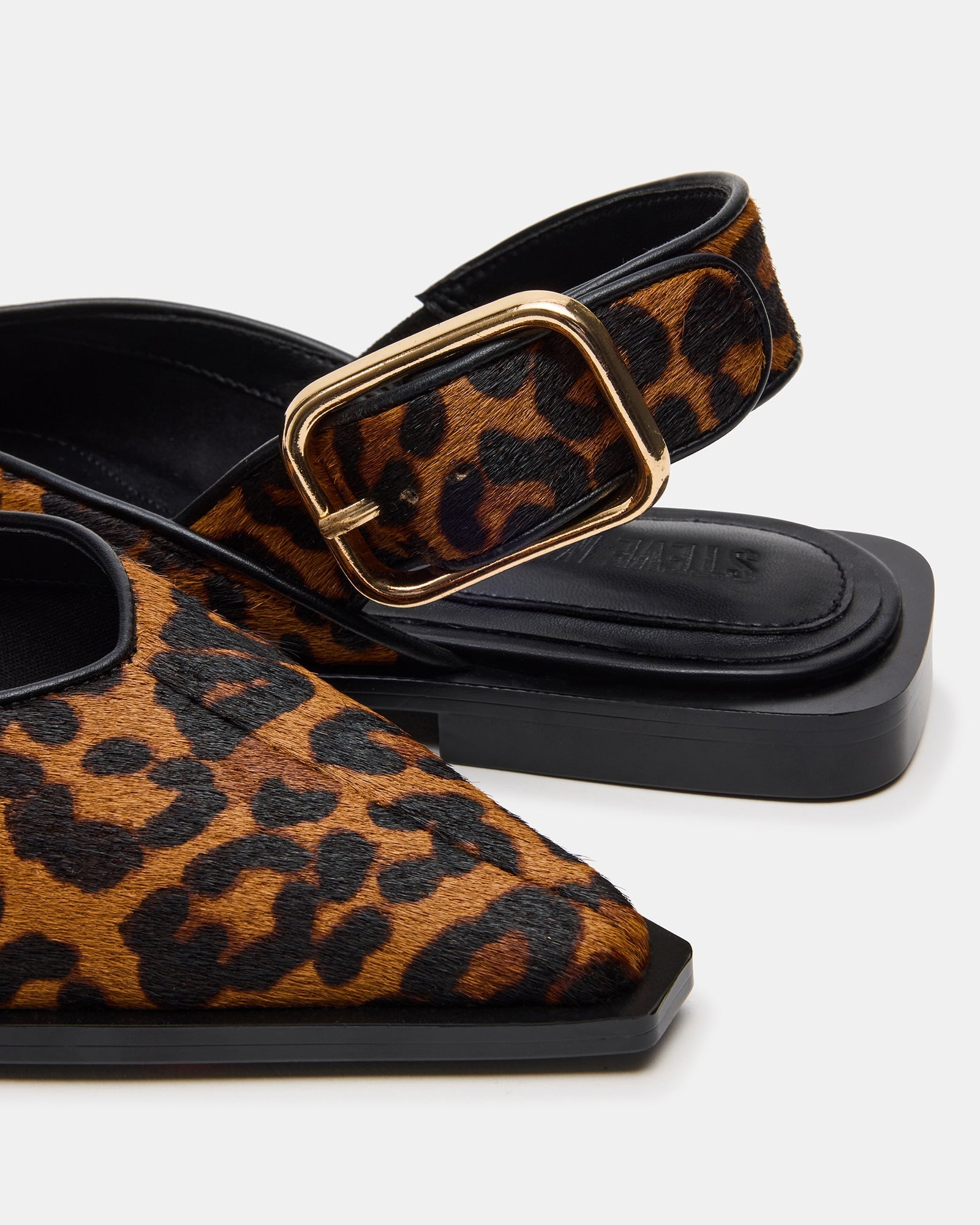 SHAY LEOPARD